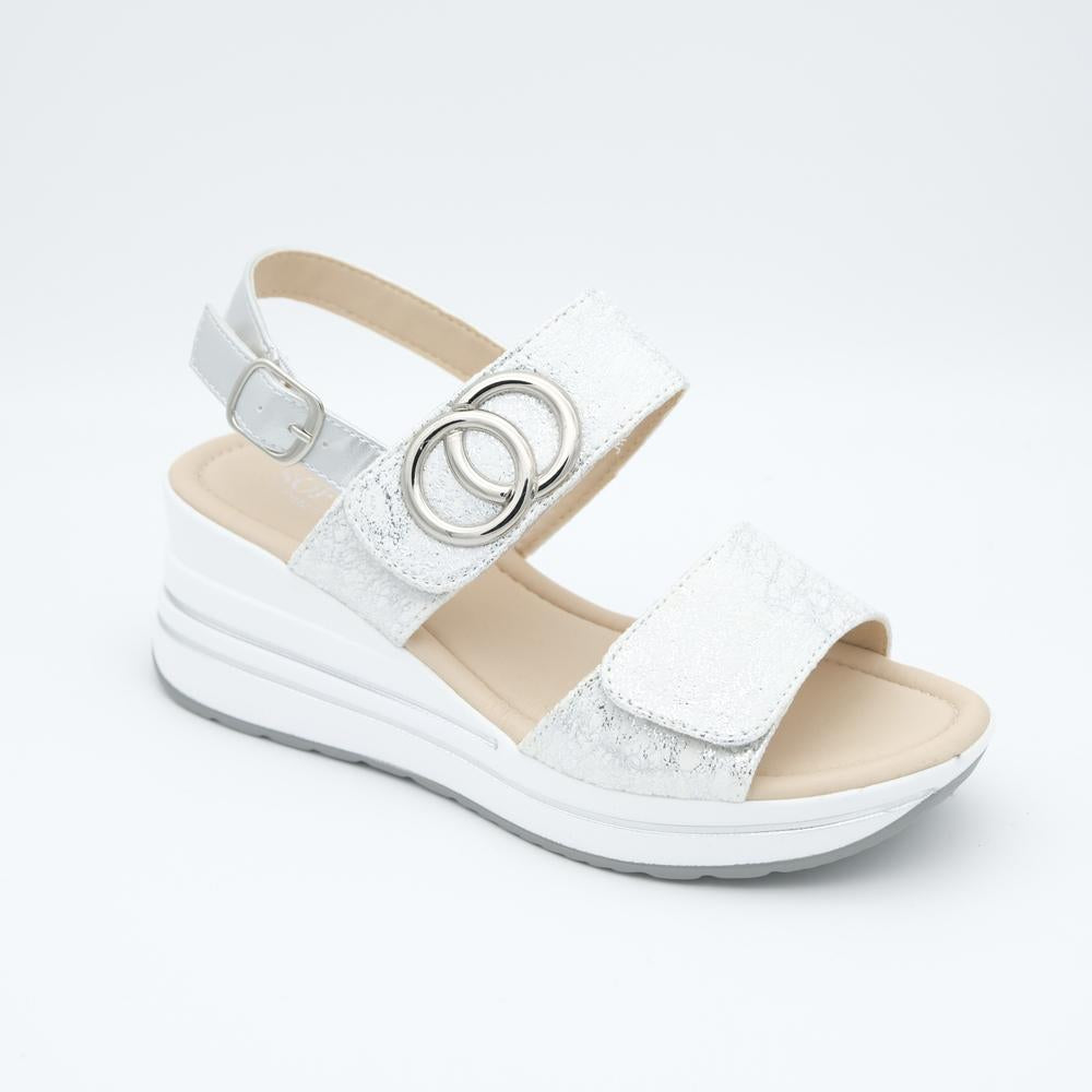 01579_7|c513fa7d1a2dd76cf8f0bd1f87825c6b